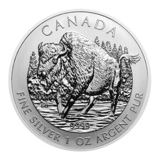 Kanada-Canada Bison 2013 1