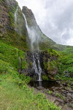 Wandbild: Eine Porträtansicht