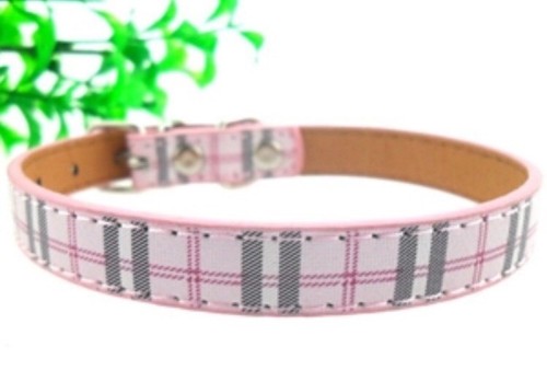 Hundehalsband halsband luxus - halsband,