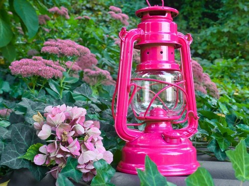 Sturmlaterne telemagenta