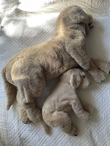 Ikea gosig golden retriever - ikea,