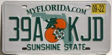 Florida Nummernschild USA Kennzeichen Original US Schild Sunshine State 39 AK JD