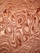 Bubinga Pommele Maser Wurzelholz Furnier SaRaiFo 250x29-31cm