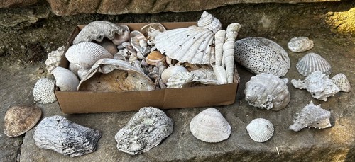 Hübsche sammlung versch - sammlung,