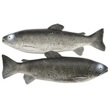 Attrappen 2 Stück Forellen