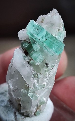 Vanadium-Aquamarin-Kristalle