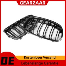 Kühlergrill Nieren Grill