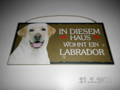 Türschild labrador weiß - türschild,