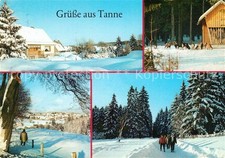 Tanne Harz Oberdorf Muffelwild Harteweg Wanderweg Winterlandschaft