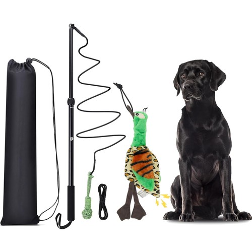 Reizangel hunde spielzeug - reizangel,