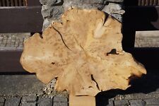 Baumscheibe Holzscheibe