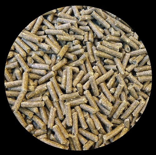Chinchillafutter reine - 5,