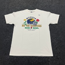 Vintage 2003 Michigan