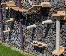 Katzenspielplatz Outdoor