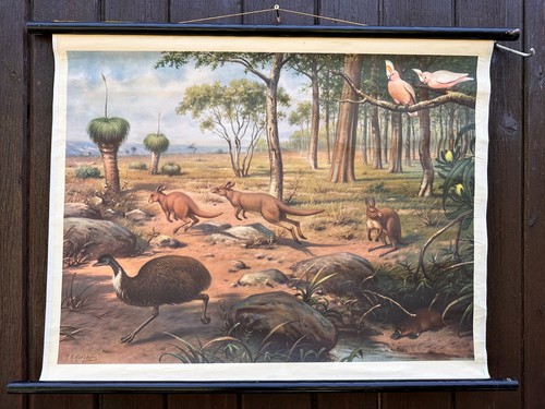 Schulwandkarte aus der - aus,