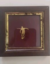 Spitzenbild Mit Fussballer aus