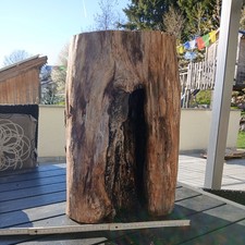 DEKO hohler Ast Baumstamm