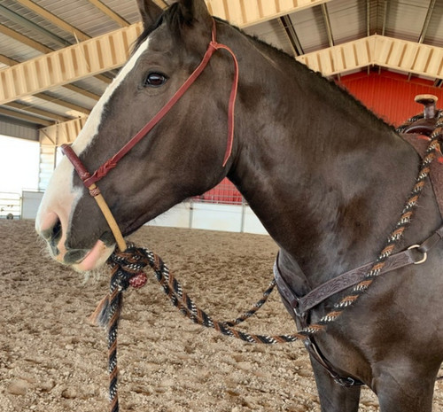 Plait braided bosal - 40,