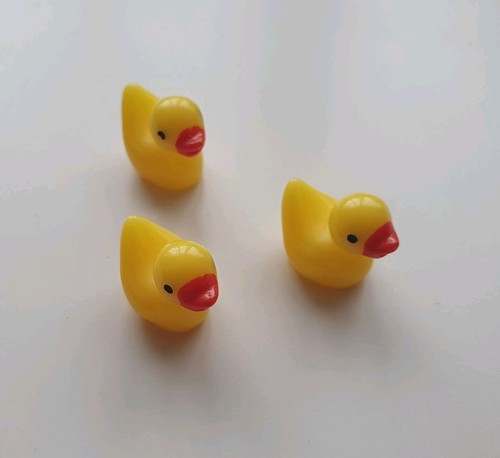 Kleine enten badeenten - enten, aus