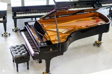 STEINWAY & SONS Flügel D-274 Bj. 2013