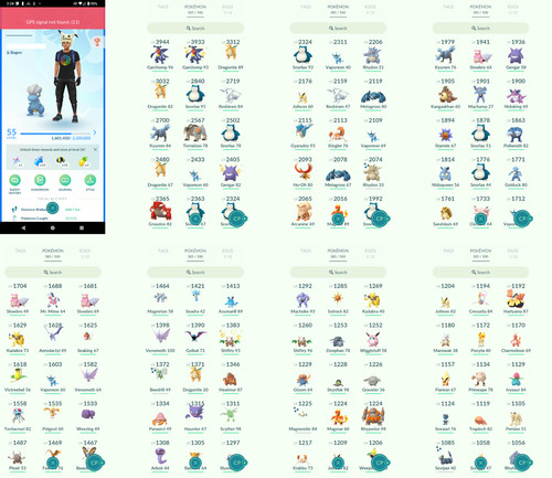 Pokémon acc lvl55 51 - acc,