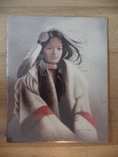 Indianische Bilder aus Amerika