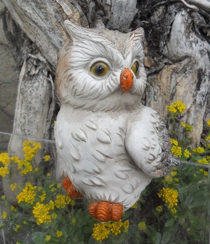 Figur niedliche eule - niedliche, kauz