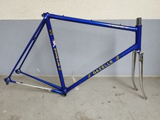 Gazelle Champion Mondial AA Rahmen