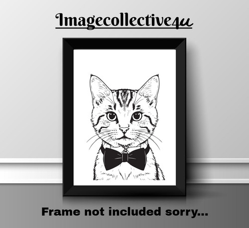 Katze gekleidet haustier - haustier, a4