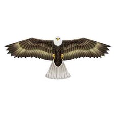 X-Kites Birds Of Prey