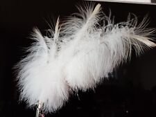 Adlerflaum    Adlerstoß  echt absolute Rarität