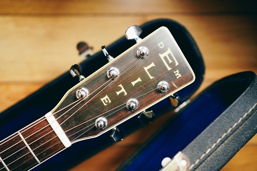 1974 takamine elite - takamine,