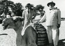 TOD AUF DEM NIL: 1 PRESSEFOTO (13x18cm) David Niven, Peter Ustinov,  -4-