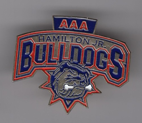 Eishockey pin hamilton - eishockey,