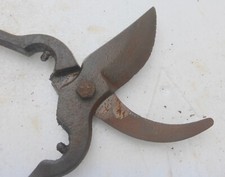 alte kleine Astschere Schere ? Gärtner Gartenschere Eisen Werkzeug Garten ?S6