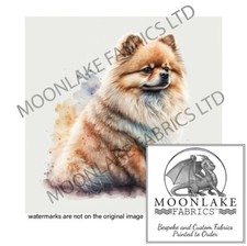 Pommersche hundespritzer 100 - hundespritzer, %