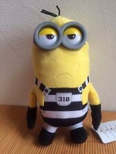 Minion Gefängnis einfach