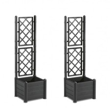 2 x Spalier Rankhilfe