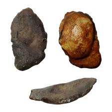 Extrem seltene britische