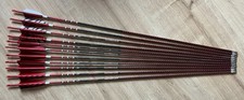 11 Carbonpfeile Spiderbows Raven One Spine 500 - 4 Zoll Federn