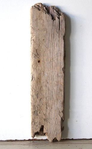 Treibholz schwemmholz - treibholz,