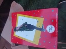  Kostüm Baby Dinosaurier Gr. 92