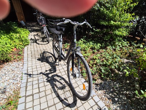 Pegasus damenfahrrad zoll - 28,