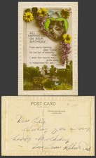 Katze Kätzchen Blumenbrücke