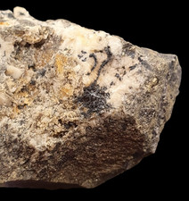 Akanthit xx, Galenit ⚒ Himmelsfürst Brand Erbisdorf b. Freiberg/Sachsen