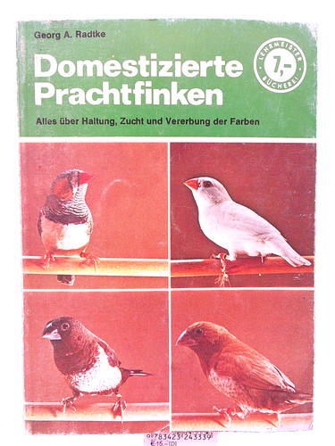Domestizierte prachtfinken - prachtfinken,