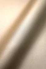 NEWROOM Vliestapete Gold