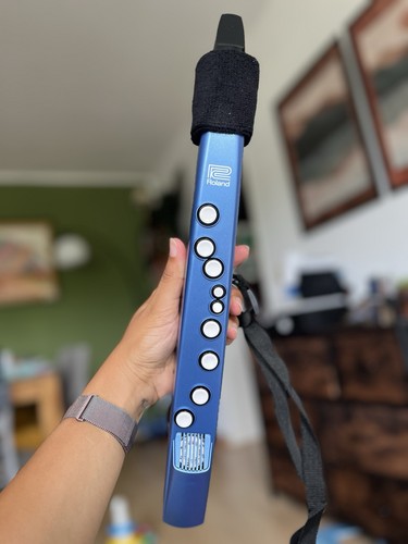 Roland aerophone mini 01 - roland, ae-01