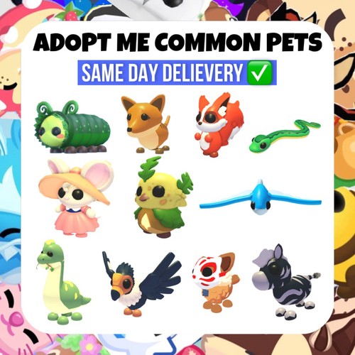 Adopt all common pets - common,