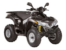 SYM QUADLANDER 300 WERKSTATTHANDBUCH WERKSTATT PDF DVD REPARATURSERVICE ENGLISCH